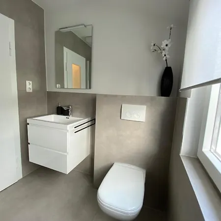 K1889 - Colin * Rheine