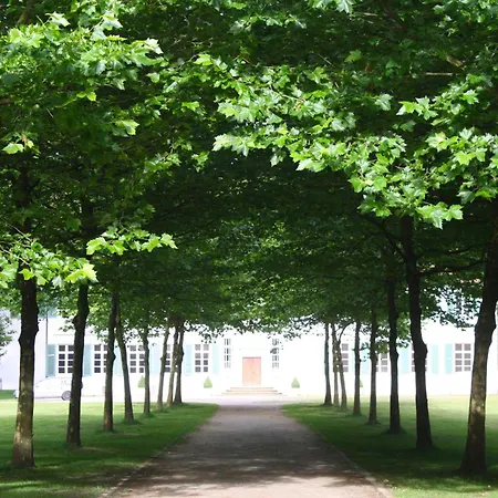 K1889 - Colin * Rheine