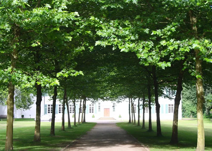 K1889 - Colin * Rheine